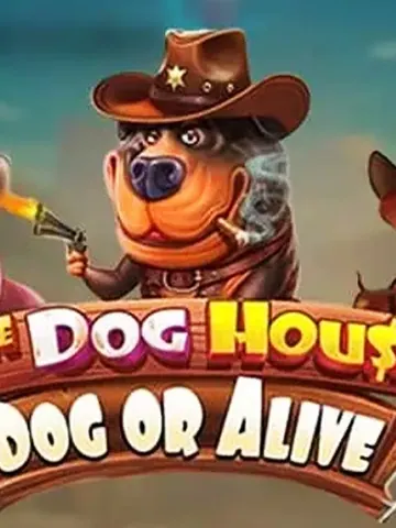 The Dog House - Dog or Alive